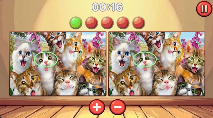 Bloodhound Spot Differences close-up kitten level near the time limit