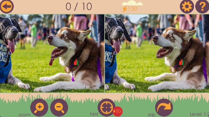 Find The Difference: The Best animal photo comparison