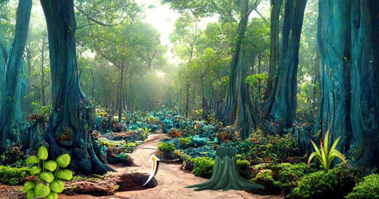 Lost in the Nature Escape game card