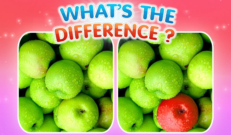 What's the difference? game card